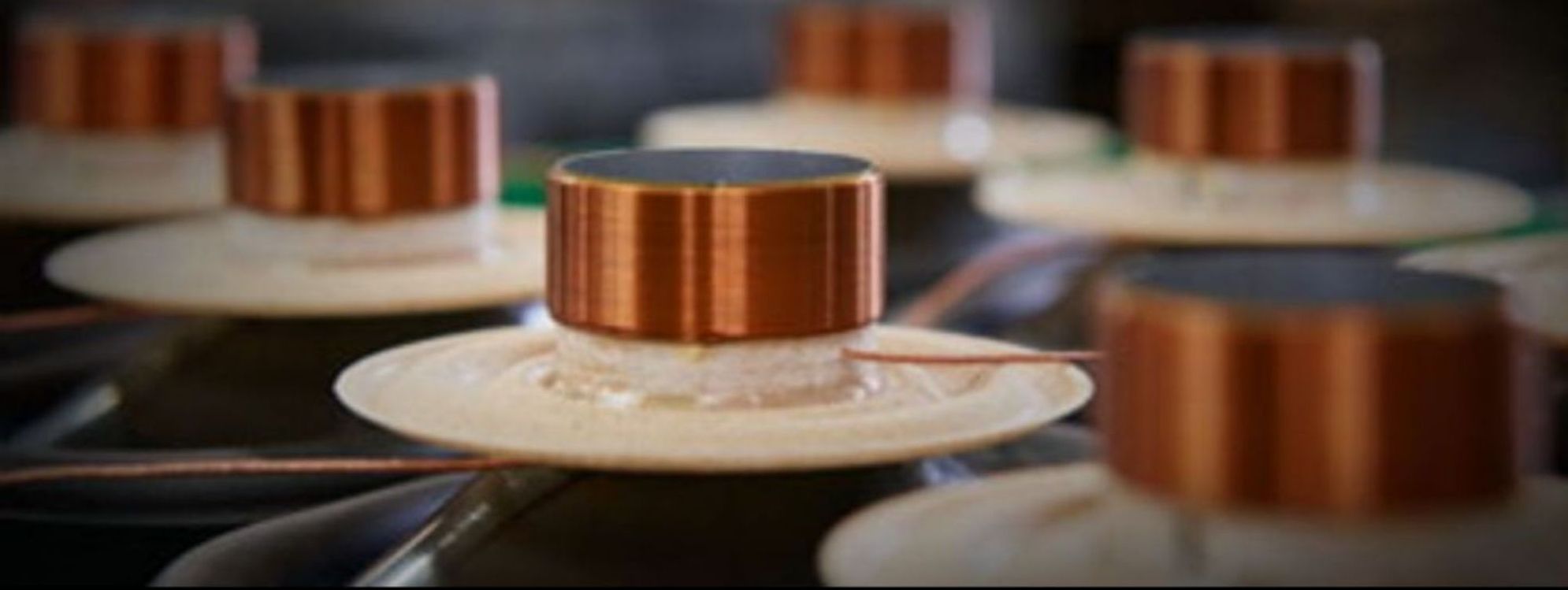 A close-up of a speaker voice coil, spider, and cone.